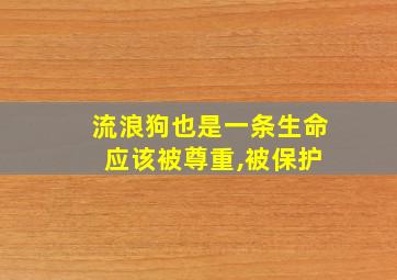 流浪狗也是一条生命 应该被尊重,被保护